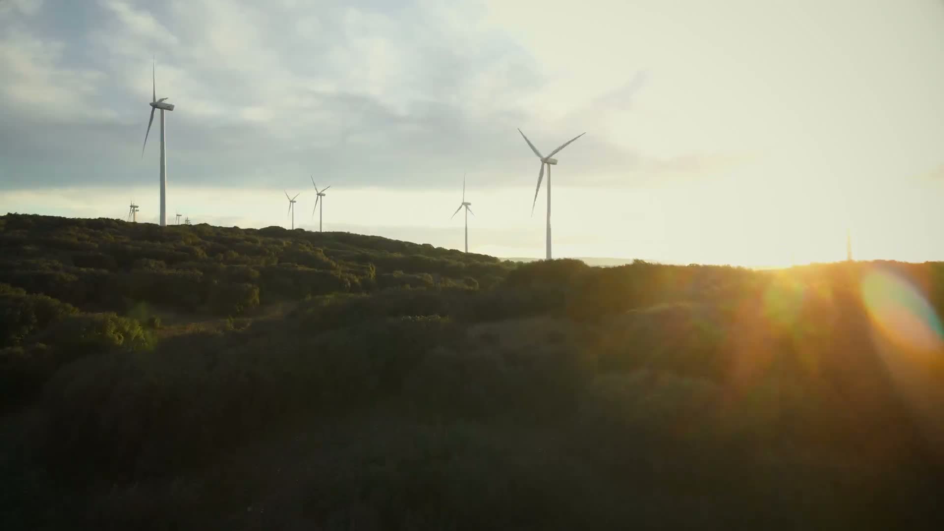 Aerial view of energy infrastructure